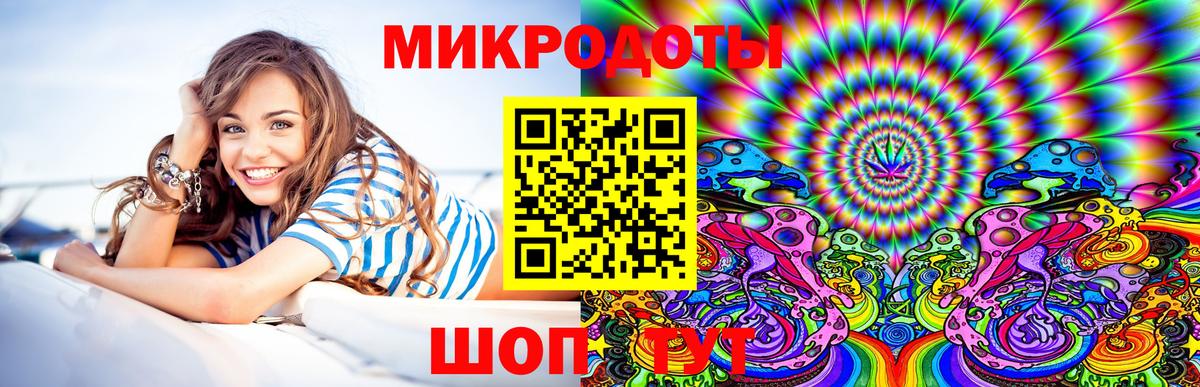 Псилоцибиновые грибы Cubensis Барнаул