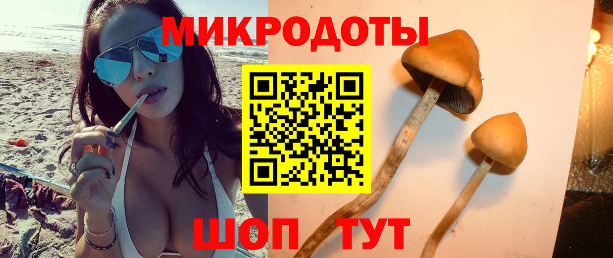 Барнаул  Галлюциногенные грибы Cubensis  Псилоцибиновые грибы Cubensis  Вход с VPN 